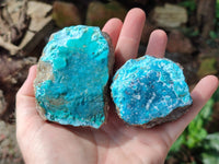 Natural Drusy Coated Chrysocolla on Dolomite Specimens x 6 From Congo