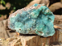 Natural Drusy Coated Chrysocolla on Dolomite Specimens x 6 From Congo