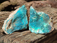 Natural Drusy Coated Chrysocolla on Dolomite Specimens x 6 From Congo