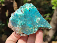 Natural Drusy Coated Chrysocolla on Dolomite Specimens x 6 From Congo