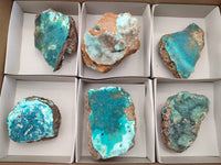 Natural Drusy Coated Chrysocolla on Dolomite Specimens x 6 From Congo