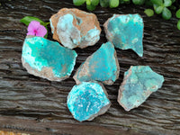 Natural Drusy Coated Chrysocolla on Dolomite Specimens x 6 From Congo