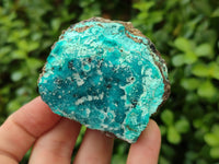 Natural Drusy Coated Chrysocolla on Dolomite Specimens x 6 From Congo