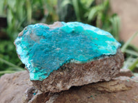 Natural Drusy Coated Chrysocolla on Dolomite Specimens x 6 From Congo