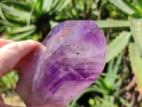 Polished Window Amethyst Quartz Crystal x 1 From Akansobe, Madagascar