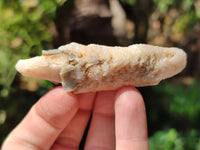 Natural Drusy Quartz Coated Calcite Pseudomorph Specimens x 35 From Alberts Mountain, Lesotho