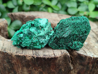 Natural Silky Malachite Specimens x 20 From Kasompe, Congo