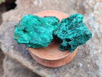 Natural Silky Malachite Specimens x 20 From Kasompe, Congo