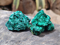 Natural Silky Malachite Specimens x 20 From Kasompe, Congo