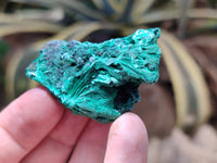 Natural Silky Malachite Specimens x 20 From Kasompe, Congo