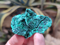 Natural Silky Malachite Specimens x 20 From Kasompe, Congo