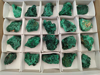 Natural Silky Malachite Specimens x 20 From Kasompe, Congo