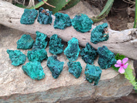 Natural Silky Malachite Specimens x 20 From Kasompe, Congo