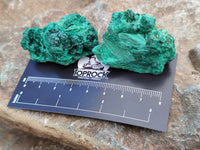 Natural Silky Malachite Specimens x 20 From Kasompe, Congo