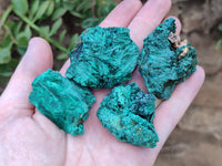 Natural Silky Malachite Specimens x 20 From Kasompe, Congo