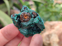 Natural Silky Malachite Specimens x 20 From Kasompe, Congo