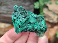 Natural Silky Malachite Specimens x 20 From Kasompe, Congo