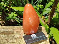 Polished Orange Twist Calcite Standing Free Forms x 2 From Madagascar