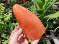 Polished Orange Twist Calcite Standing Free Forms x 2 From Madagascar