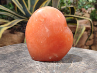 Polished Orange Twist Calcite Standing Free Forms x 2 From Madagascar