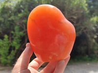 Polished Orange Twist Calcite Standing Free Forms x 2 From Madagascar