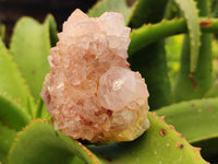 Natural Ametrine Spirit Quartz Clusters x 4 From Boekenhouthoek, South Africa