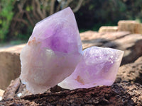 Natural Jacaranda Amethyst Quartz Crystals x 12 From Mumbwa, Zambia