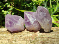 Natural Jacaranda Amethyst Quartz Crystals x 12 From Mumbwa, Zambia