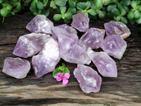 Natural Jacaranda Amethyst Quartz Crystals x 12 From Mumbwa, Zambia