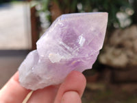 Natural Jacaranda Amethyst Quartz Crystals x 12 From Mumbwa, Zambia