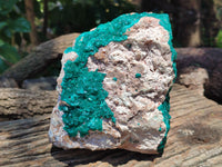 Natural Dioptase Cabinet Specimen x 1 From Likasi, Congo