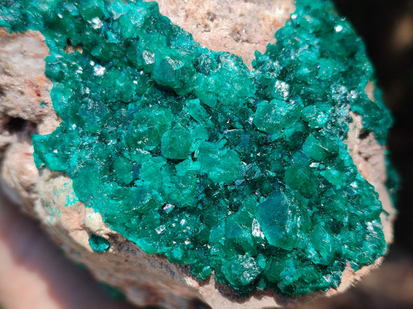 Natural Dioptase Cabinet Specimen x 1 From Likasi, Congo