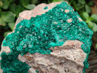 Natural Dioptase Cabinet Specimen x 1 From Likasi, Congo