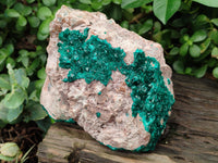 Natural Dioptase Cabinet Specimen x 1 From Likasi, Congo