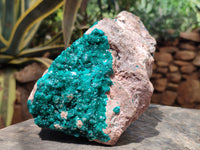 Natural Dioptase Cabinet Specimen x 1 From Likasi, Congo