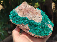 Natural Dioptase Cabinet Specimen x 1 From Likasi, Congo