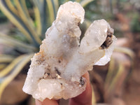 Natural Drusy Quartz Coated Calcite Pseudomorph Specimens x 20 From Alberts Mountain, Lesotho