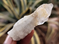 Natural Drusy Quartz Coated Calcite Pseudomorph Specimens x 20 From Alberts Mountain, Lesotho