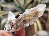 Natural Drusy Quartz Coated Calcite Pseudomorph Specimens x 20 From Alberts Mountain, Lesotho