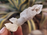 Natural Drusy Quartz Coated Calcite Pseudomorph Specimens x 20 From Alberts Mountain, Lesotho