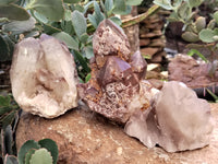 Natural Hematoid Quartz Clusters x 3 From Karoi, Zimbabwe