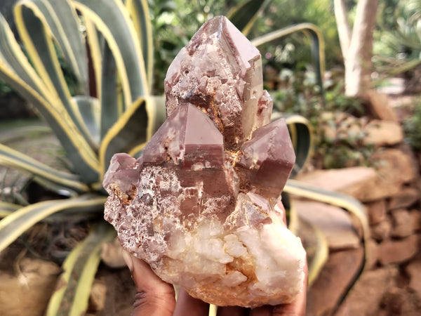 Natural Hematoid Quartz Clusters x 3 From Karoi, Zimbabwe