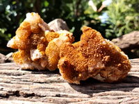 Natural Golden Solar Spirit Quartz Clusters x 12 From Boekenhouthoek, South Africa