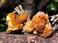 Natural Golden Solar Spirit Quartz Clusters x 12 From Boekenhouthoek, South Africa