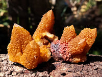 Natural Golden Solar Spirit Quartz Clusters x 12 From Boekenhouthoek, South Africa