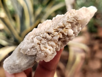 Natural Drusy Quartz Coated Calcite Pseudomorph Specimens x 35 From Alberts Mountain, Lesotho