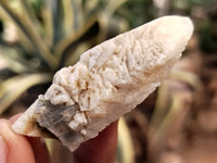 Natural Drusy Quartz Coated Calcite Pseudomorph Specimens x 35 From Alberts Mountain, Lesotho