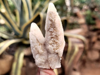 Natural Drusy Quartz Coated Calcite Pseudomorph Specimens x 35 From Alberts Mountain, Lesotho