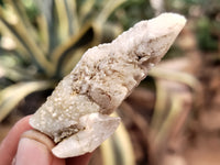 Natural Drusy Quartz Coated Calcite Pseudomorph Specimens x 35 From Alberts Mountain, Lesotho