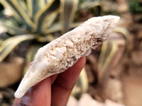 Natural Drusy Quartz Coated Calcite Pseudomorph Specimens x 35 From Alberts Mountain, Lesotho